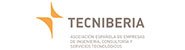 Asociación Española de Empresas de Ingeniería, Consultoría y Servicios Tecnológicos (TECNIBERIA)